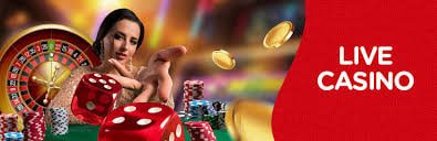 Layar aplikasi mobile dso777 menampilkan riwayat Official Result permainan live dealer